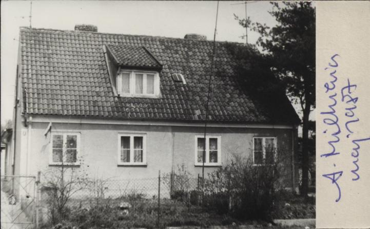 dom, skan 2