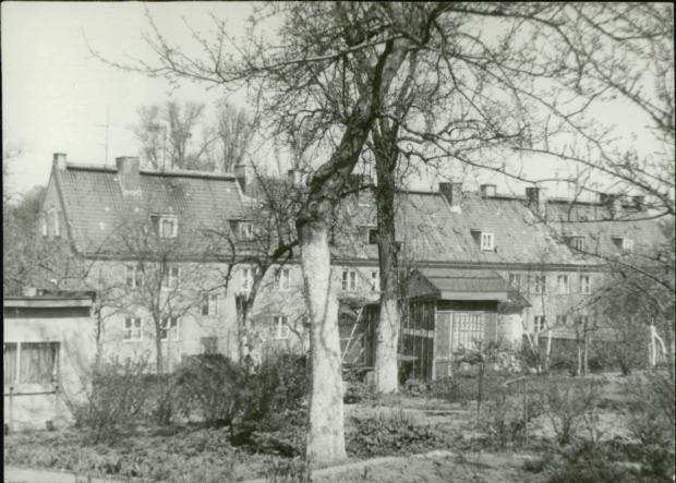dom, skan 3