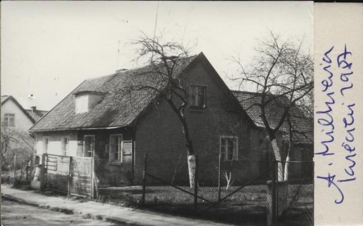 dom, skan 3