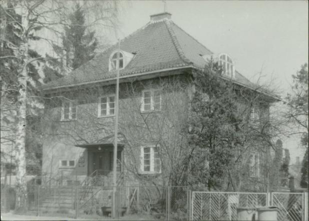 dom, skan 3
