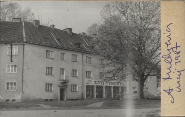 dom, skan 2