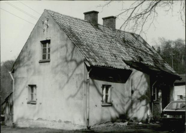 dom, skan 3