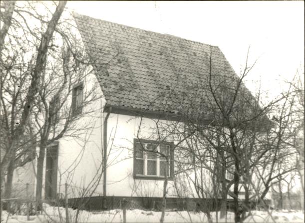 dom, skan 3