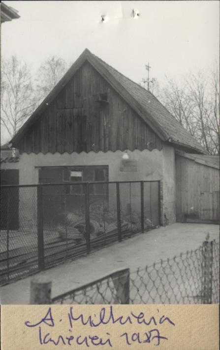 budynek gospodarczy, skan 2