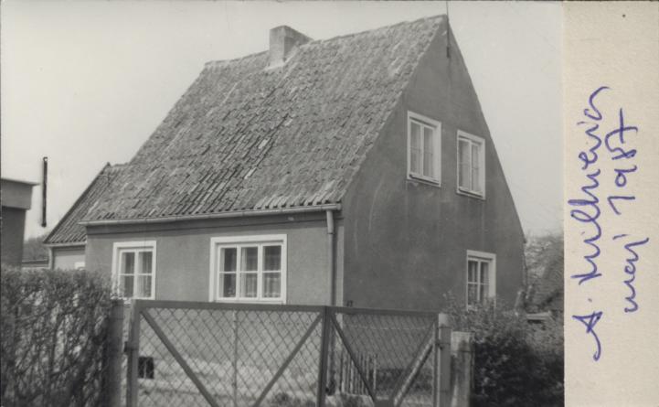 dom, skan 2