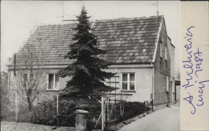 dom, skan 2