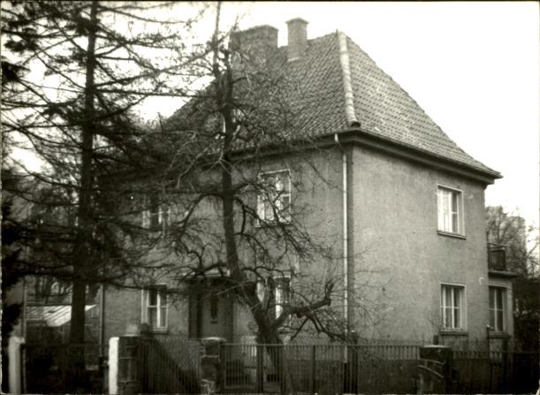 dom, skan 3
