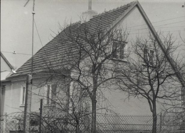 dom, skan 3