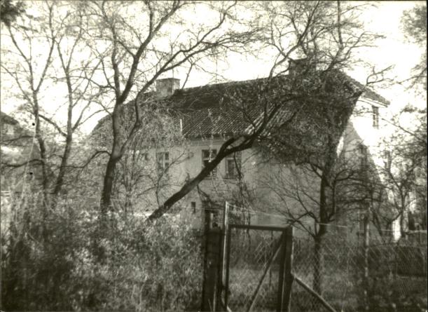 dom, skan 5