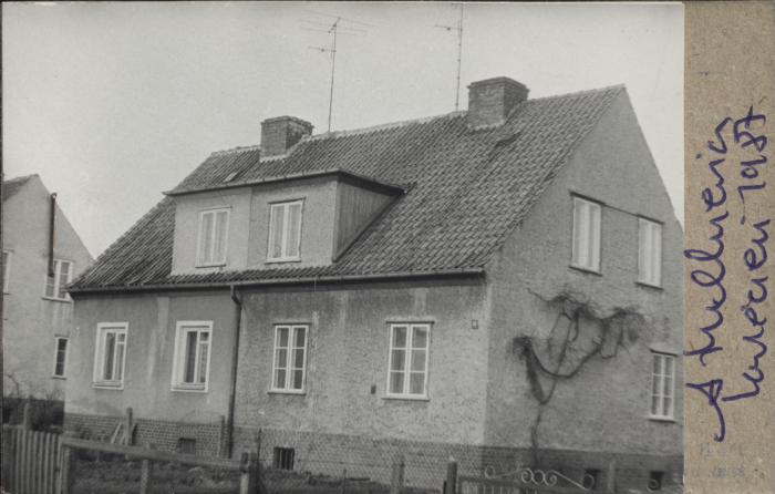 dom, skan 2