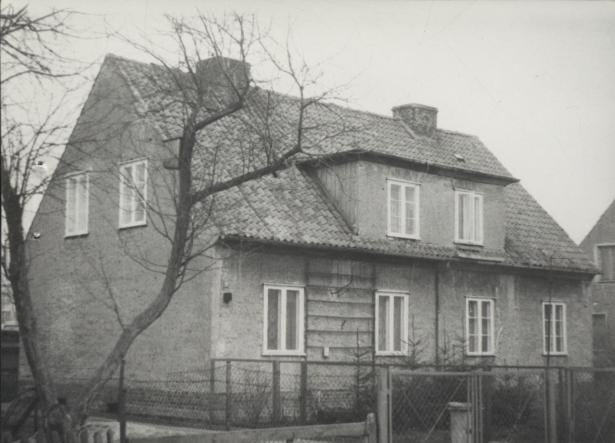 dom, skan 3