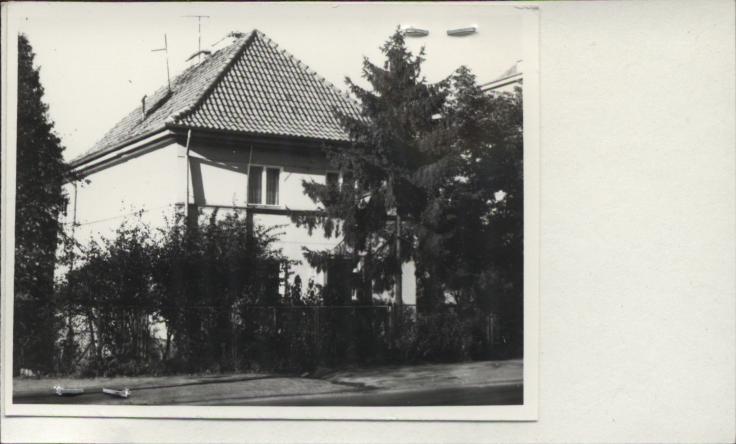 dom, skan 2