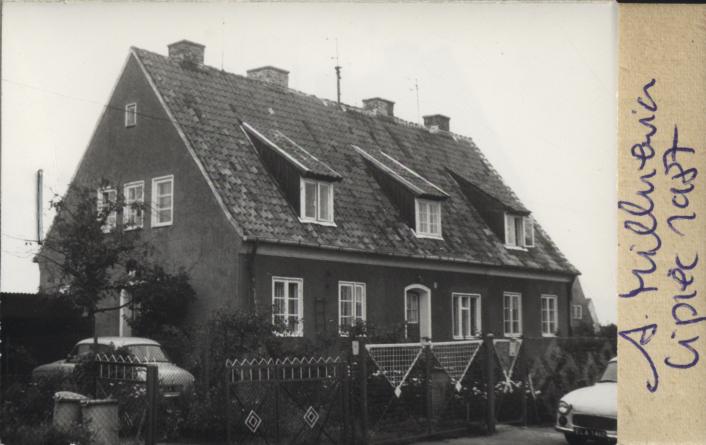 dom, skan 2