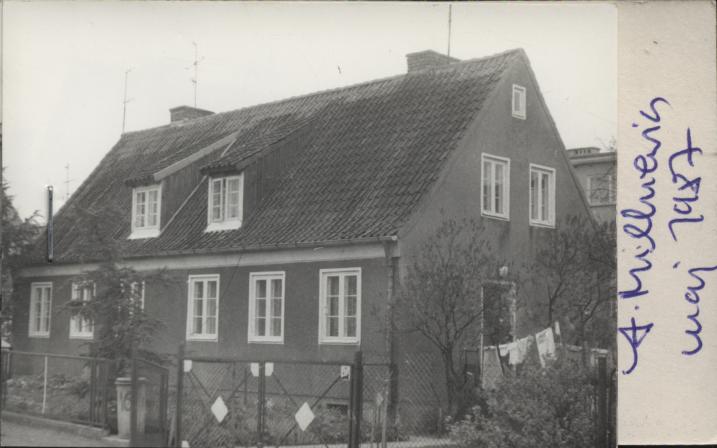 dom, skan 2