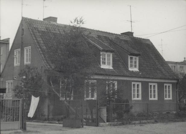 dom, skan 3