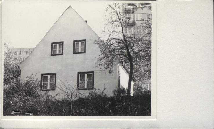 dom, skan 2