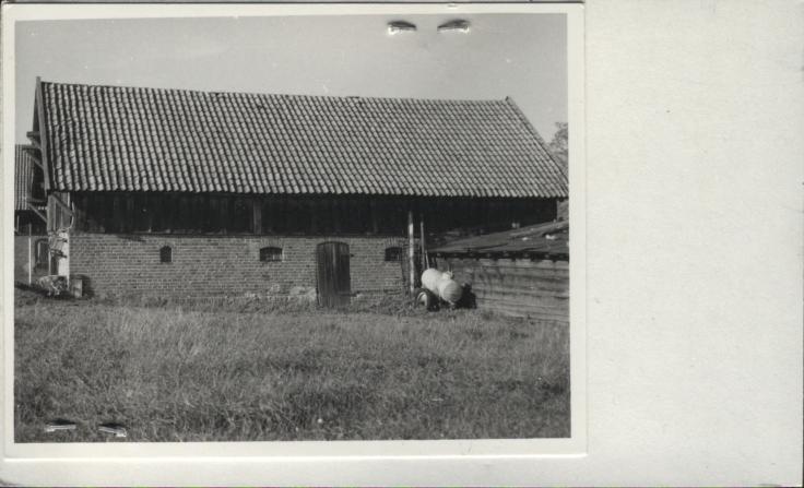 budynek gospodarczy, skan 2