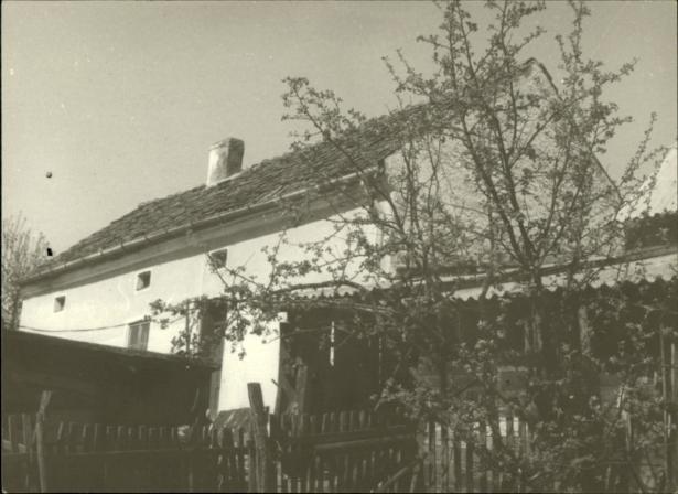 dom, skan 3