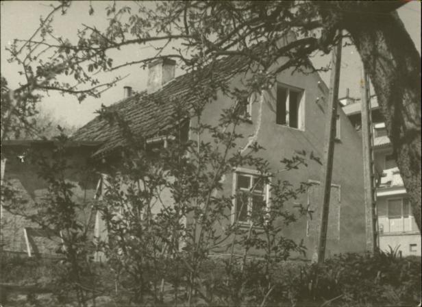 dom, skan 3