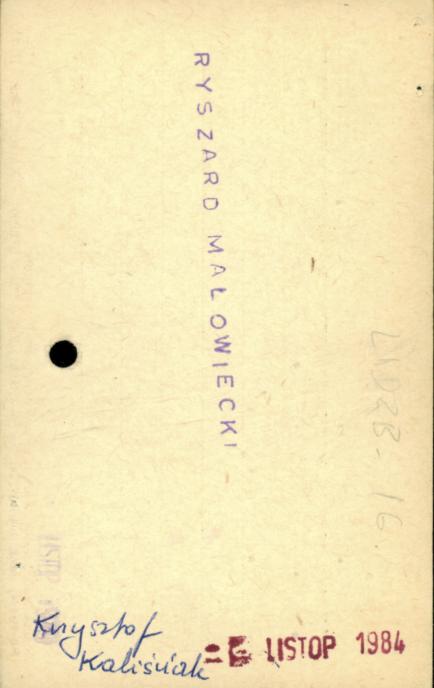 dom, tzw. zameczek, skan 2