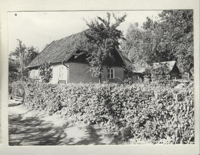 dom, skan 3