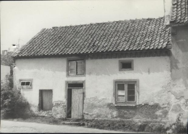 dom, skan 4