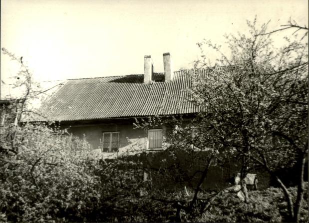 dom, skan 3