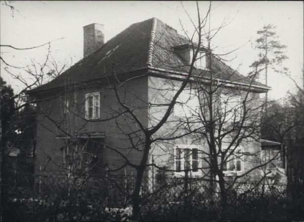 dom, skan 3