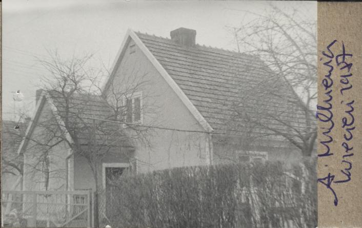 dom, skan 3