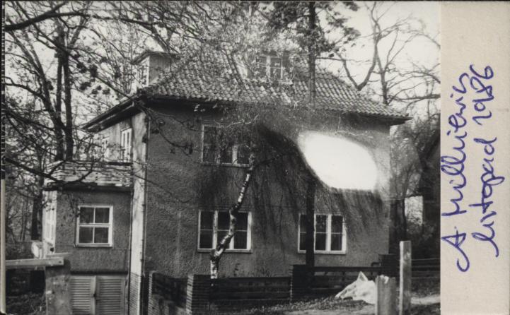 dom, skan 2