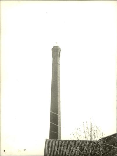 tartak, skan 3