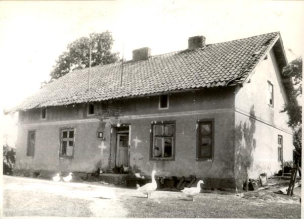dom, skan 2