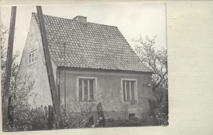 dom, skan 2