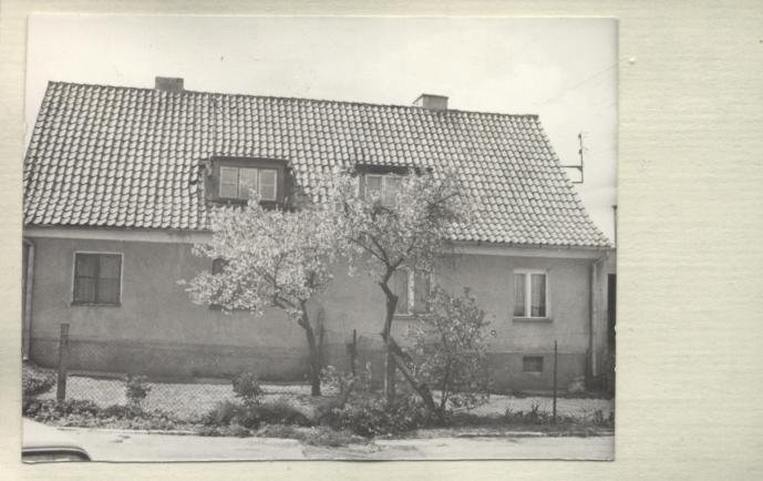 dom, skan 2