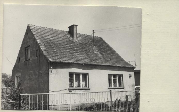 dom, skan 2