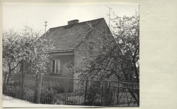 dom, skan 2