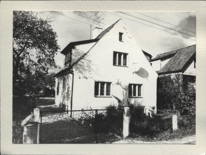 dom, skan 2