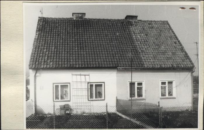 dom, skan 2