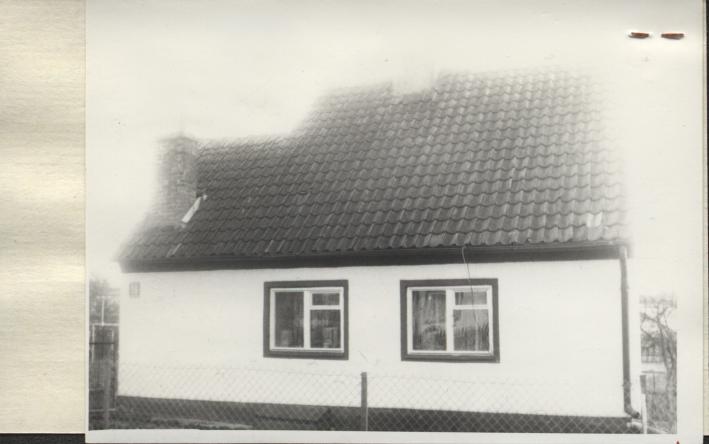 dom, skan 2