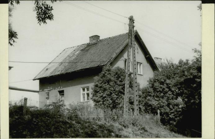 dom, skan 2