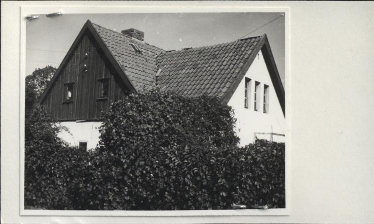 dom, skan 2