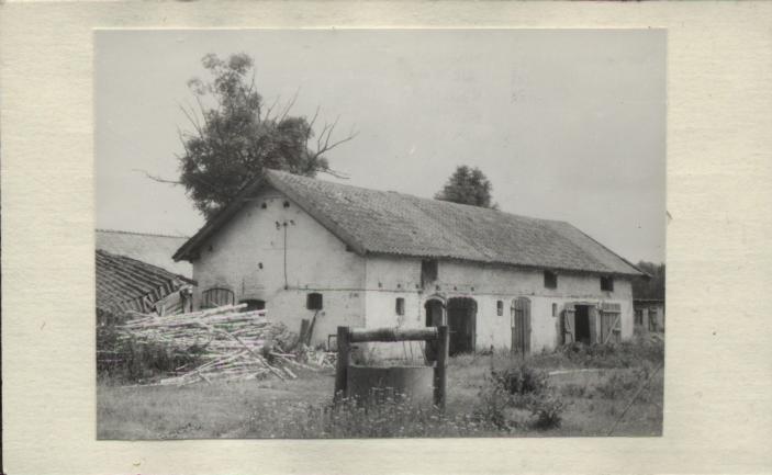 obora, skan 2