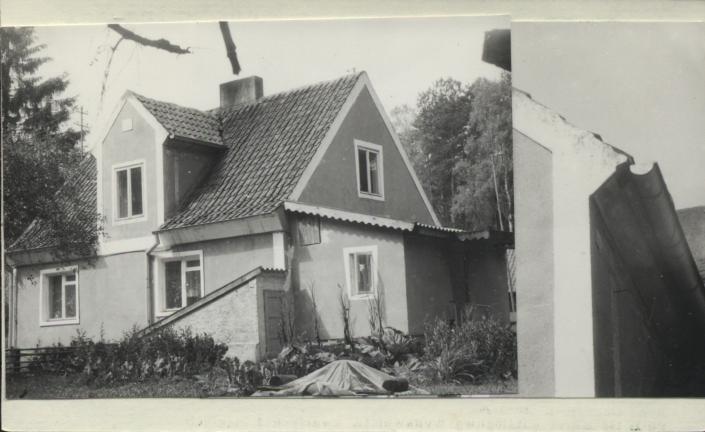 dom, skan 2