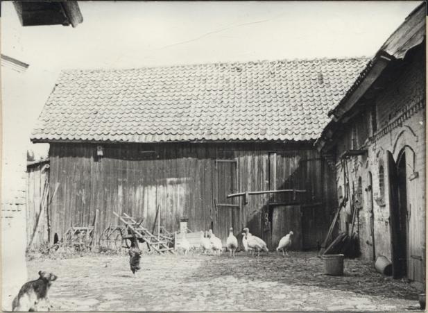 stodoła, skan 2