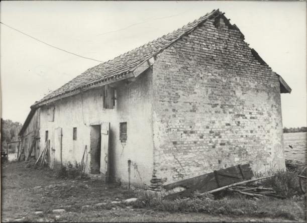 chlewnia, skan 2