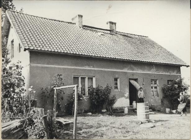 dom, skan 2