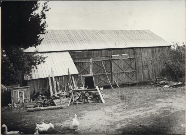 stodoła, skan 2