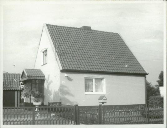 dom, skan 2