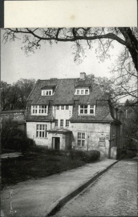 willa, skan 2