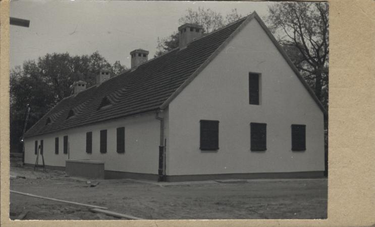 czworak, skan 3